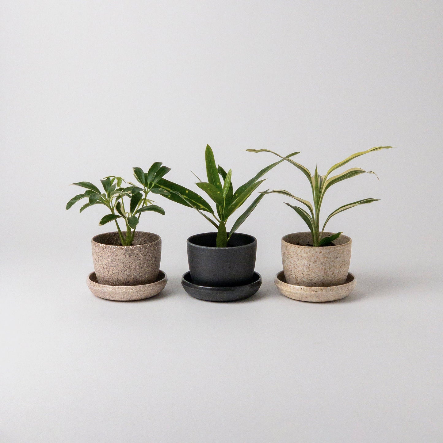Three Set | Mini Planters Pots Essence Set