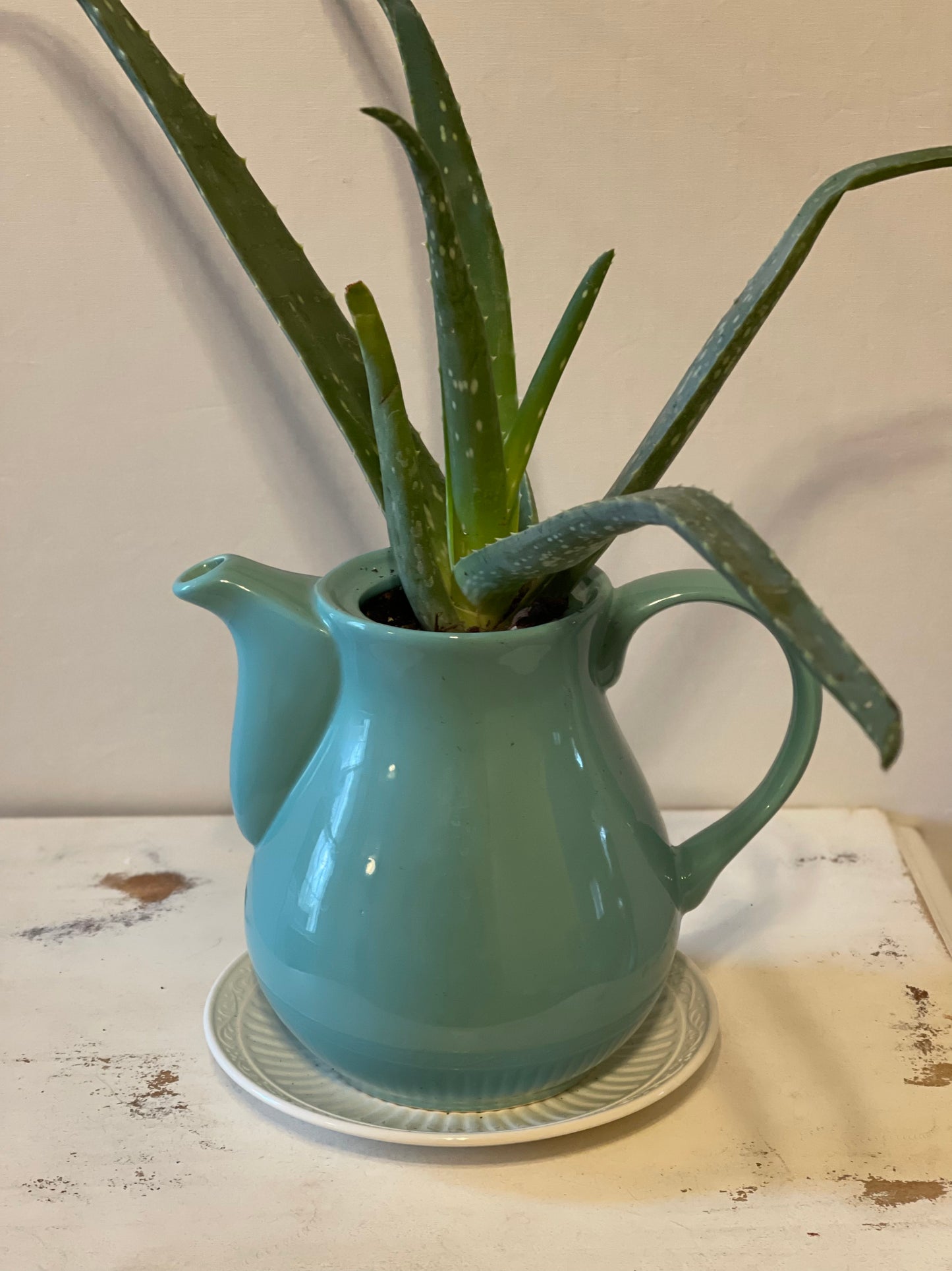 Turquoise Teapot Planter